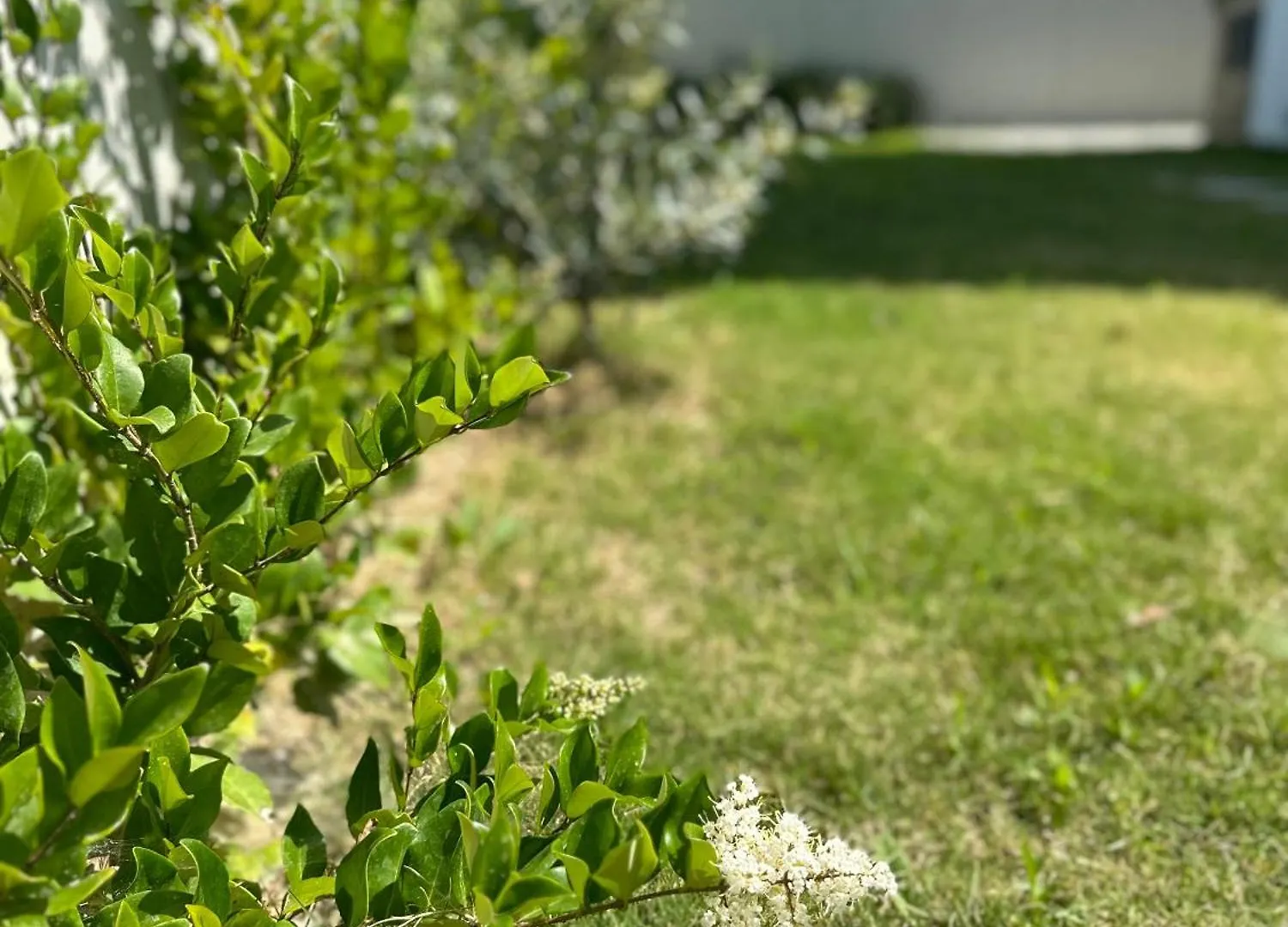 Argun Private Villa Kusadası